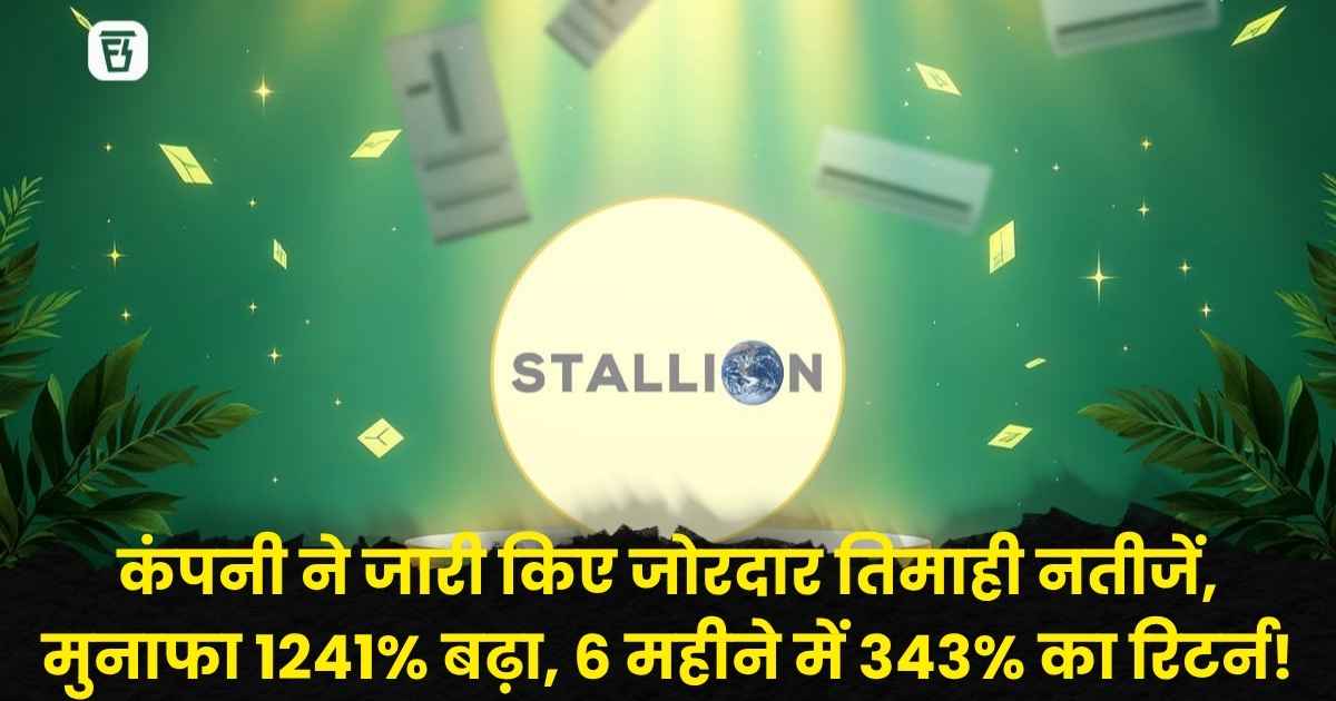 Stallion India Fluorochemical Share Price
