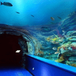 Sharjah Aquarium
